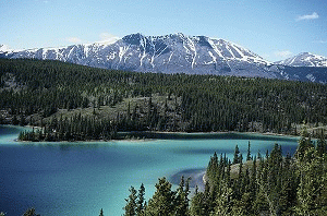 Kluane